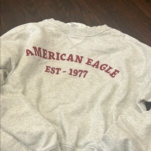 American Eagle Outfitters Light Gray Crewneck Sweater